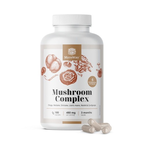 mycoway-mushroom-complex-6-grzybow-packshot-180-kapsulek.jpg