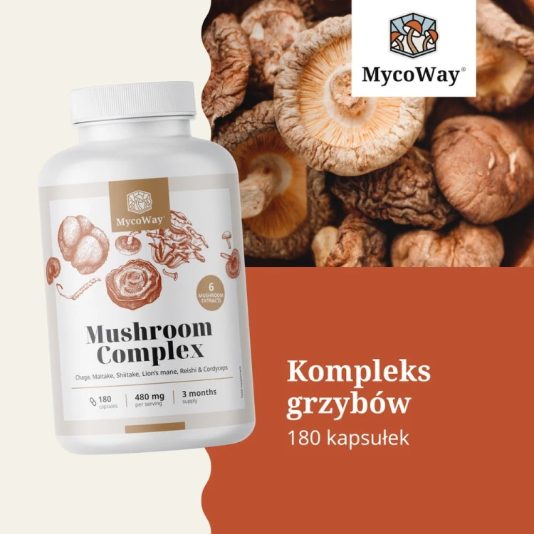 mycoway-mushroom-complex-suszone-grzyby-azjatyckie.jpg