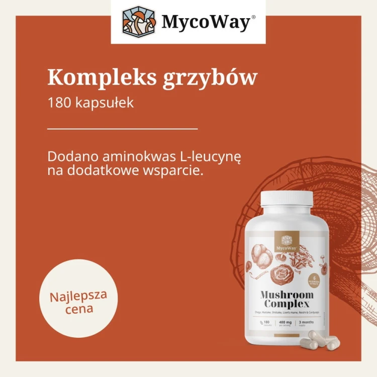 mycoway-mushroom-complex-leucyna-kompleks-grzybow-infografika.jpg