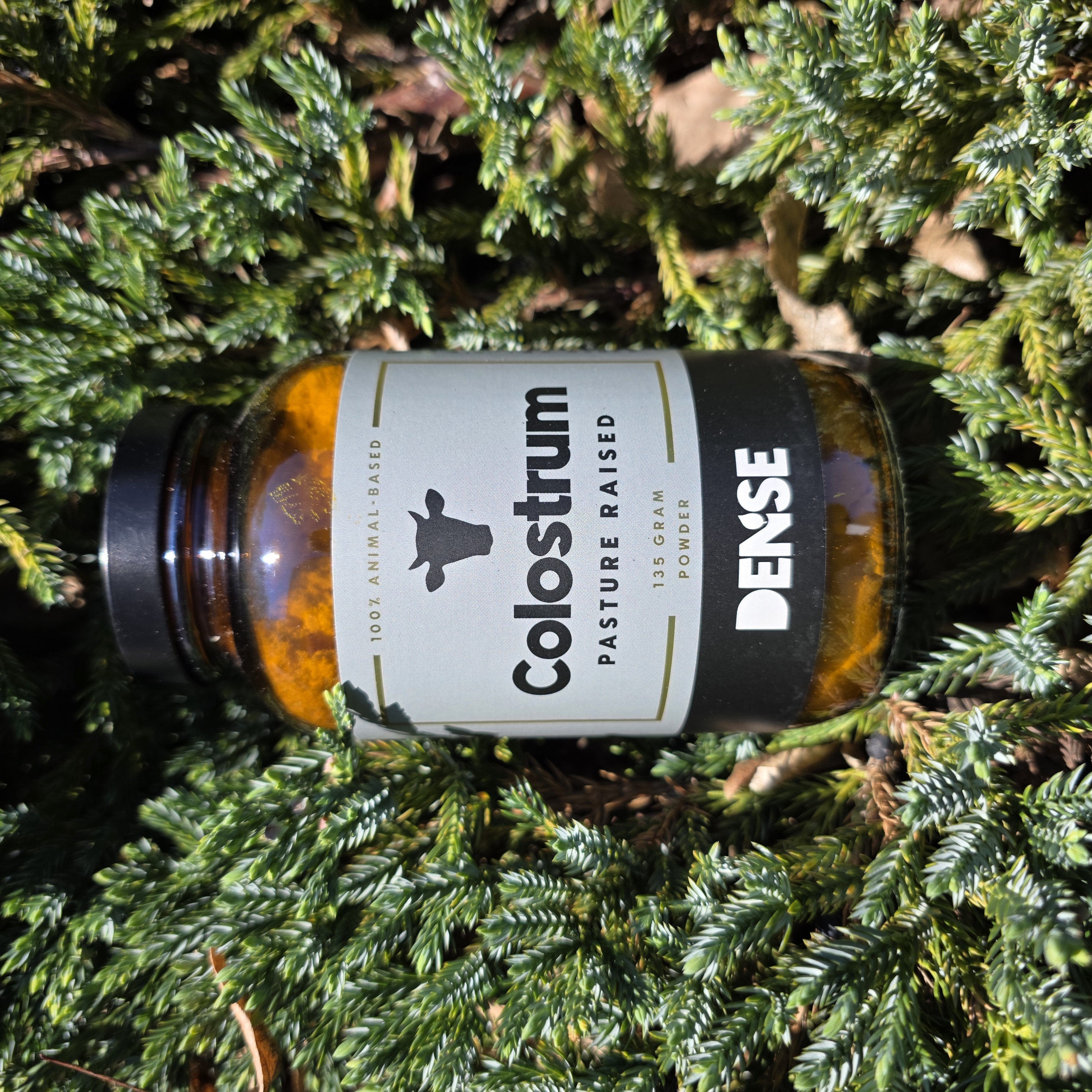 Dense Colostrum Pasture Raised — naturalny suplement wołowy